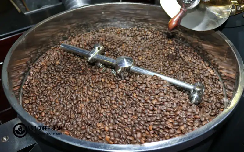 Những hạt cà phê Robusta đậm đà từ Việt Nam