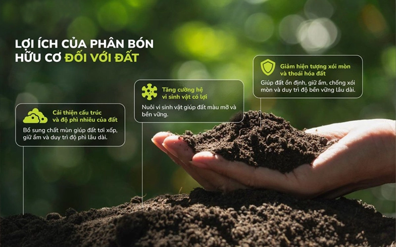 lọi ích của phân bón hữu cơ