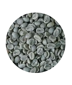 GR03-GREEN BEAN ARABICA VIETNAM
