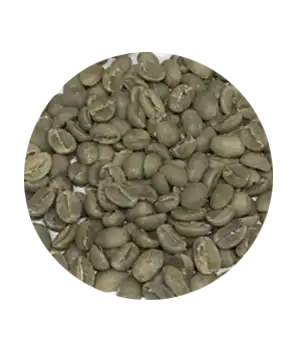 GR04-GREEN BEAN SIDAMO ETHIOPIA G2
